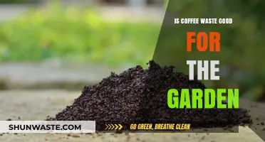 Coffee Grounds in Gardens: Benefits, Uses, and Eco-Friendly Tips