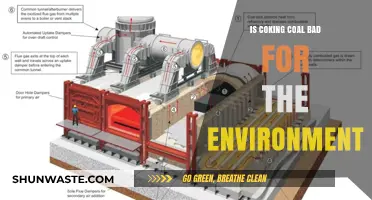 Coking Coal's Environmental Impact: Harmful Effects and Sustainable Alternatives