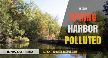 Cold Spring Harbor: Polluted Paradise?
