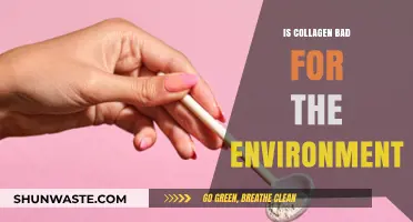 Is Collagen Eco-Friendly? Uncovering Its Environmental Impact and Sustainability
