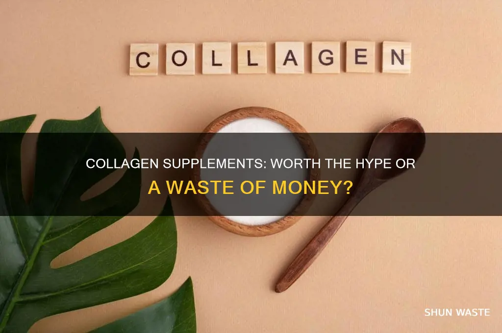 is collagen supplements a waste of money