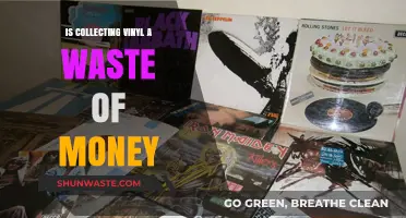 Is Vinyl Collecting Worth It? Debunking the Money Myth