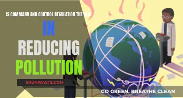 Command and Control Regulation: Effective Pollution Reduction?