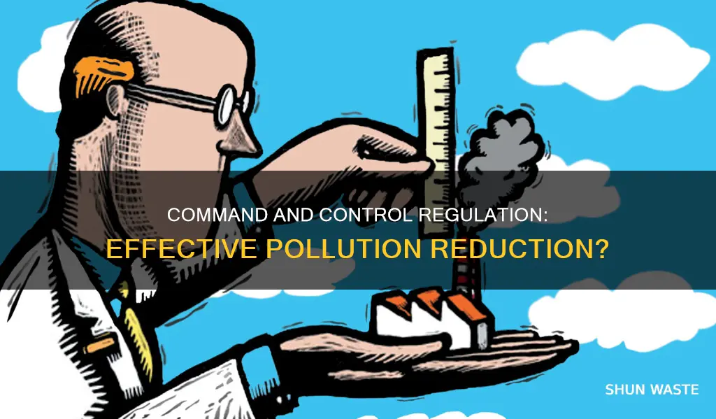 is command and control regulation the best in reducing pollution