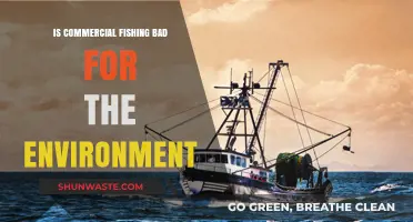 Commercial Fishing's Environmental Impact: Sustainable Practices vs. Ecological Harm