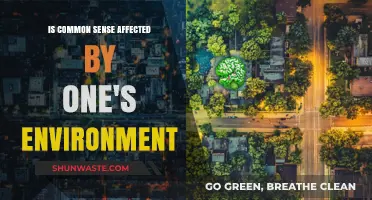 How Environment Shapes Common Sense: Unraveling the Influence of Surroundings