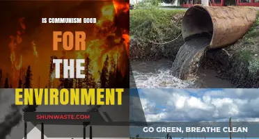 Communism and Ecology: Exploring Environmental Impacts of Collective Ownership