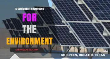 Community Solar: Eco-Friendly Energy Solution or Environmental Myth?