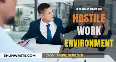 Is Your Company Liable for a Hostile Work Environment?