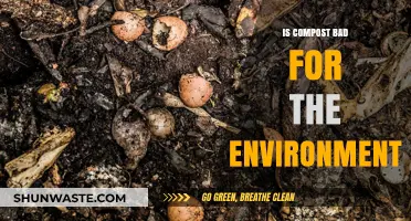 Is Compost Eco-Friendly? Uncovering Its Environmental Impact and Benefits