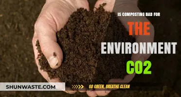 Composting and CO2: Environmental Impact Explained in Simple Terms