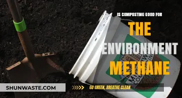 Composting vs. Methane: How Eco-Friendly Is Your Waste Management?