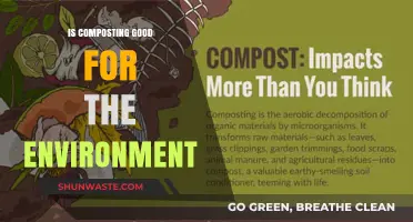 Composting Benefits: How It Positively Impacts Our Environment and Planet