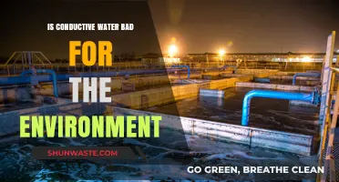 Conductive Water's Environmental Impact: Harmful or Harmless?