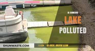 Conesus Lake: Is It Polluted?
