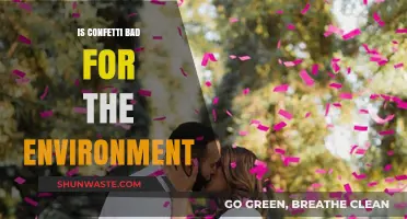 Confetti's Environmental Impact: Celebrating Sustainably or Harming Nature?