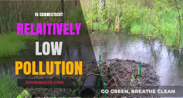 Connecticut: A Low-Pollution State?