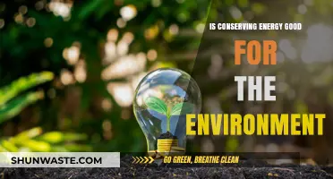 Energy Conservation: A Powerful Tool for Environmental Sustainability and Health