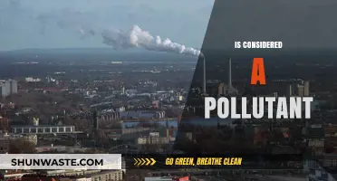 Air Pollution: Is Carbon Monoxide a Silent Killer?