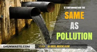 Contamination vs. Pollution: What's the Difference?