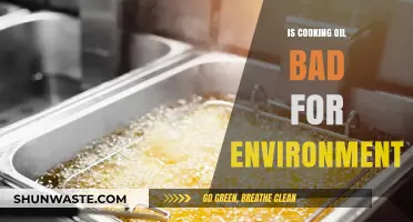 Cooking Oil's Environmental Impact: Sustainable Alternatives and Eco-Friendly Practices