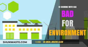 Is Gas Cooking Harming Our Planet? Exploring the Environmental Impact