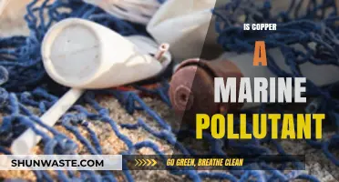 The Impact of Copper on Marine Life