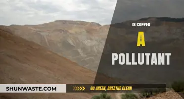 Copper's Pollution Paradox: Harmful or Helpful?