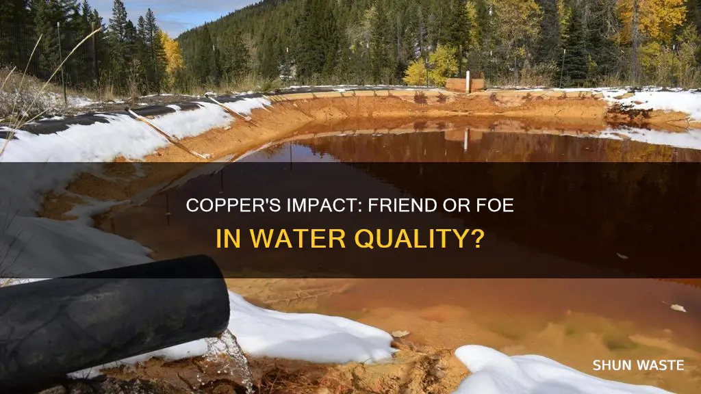 is copper a water pollutant