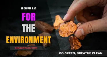 Copper's Environmental Impact: Balancing Benefits and Ecological Concerns