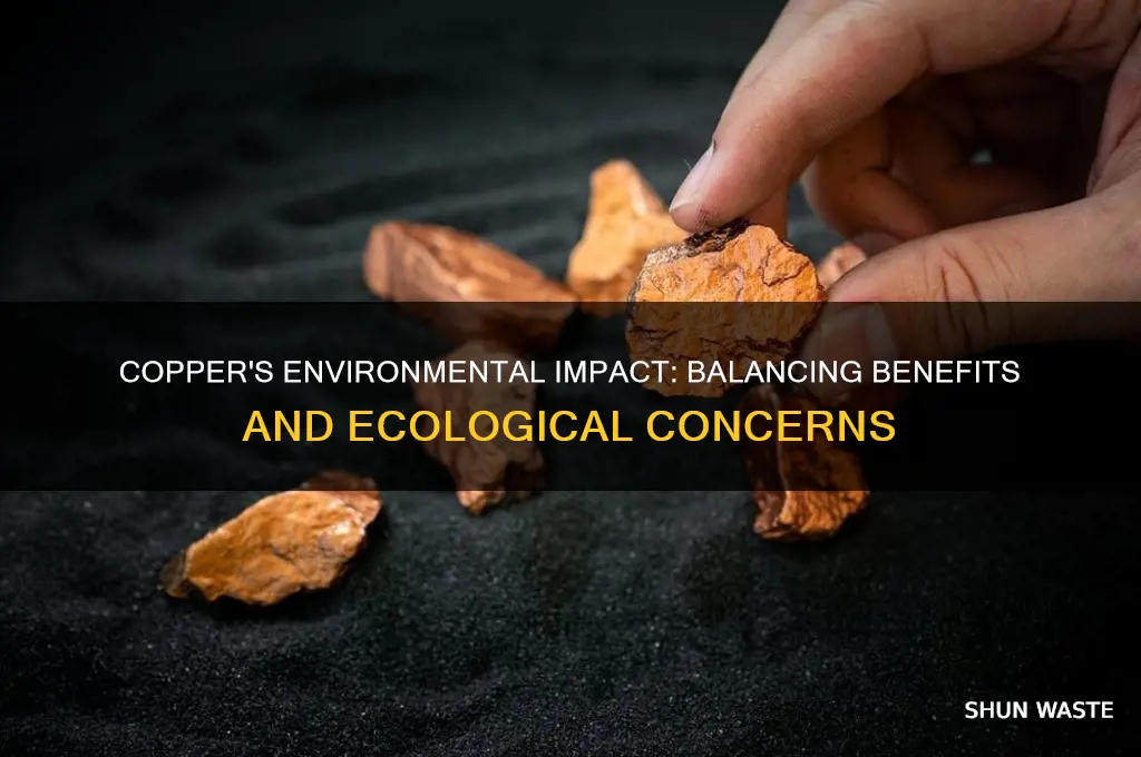 is copper bad for the environment