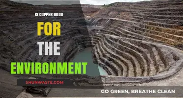 Copper's Eco-Impact: Sustainable Benefits and Environmental Considerations Explored