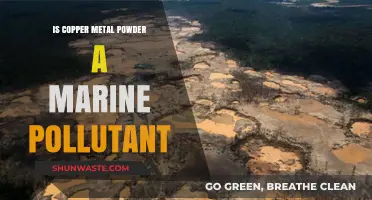 Copper Powder: Ocean Pollutant or Safe?