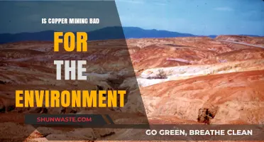Copper Mining's Environmental Impact: Sustainable Practices or Ecological Disaster?