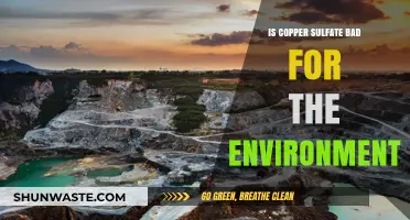 Copper Sulfate's Environmental Impact: Harmful or Harmless?