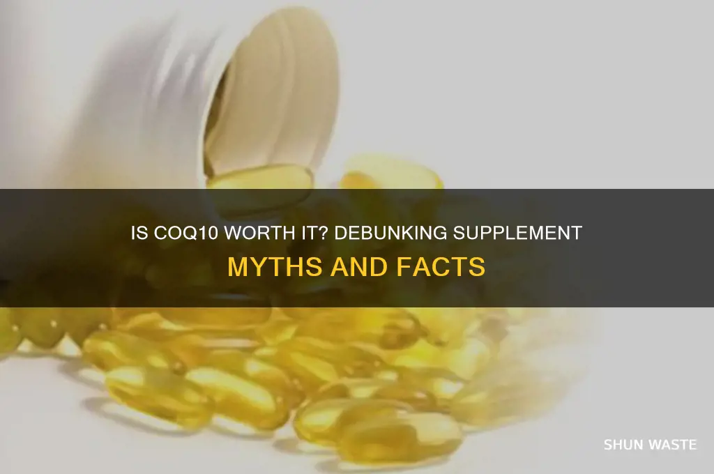 is coq10 a waste of money in supplement form