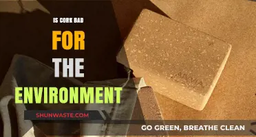 Cork's Environmental Impact: Sustainable Choice or Hidden Eco-Threat?