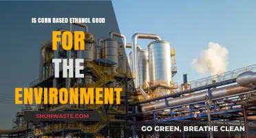 Is Corn-Based Ethanol Eco-Friendly? Uncovering Environmental Impacts and Benefits