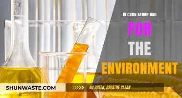 Corn Syrup's Environmental Impact: Sustainable or Harmful for Our Planet?