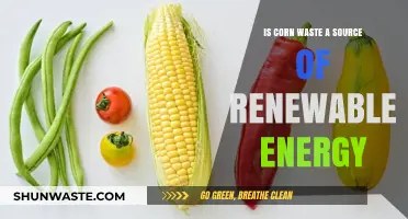 Corn Waste: Unlocking Renewable Energy Potential for a Sustainable Future