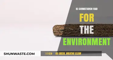 Cornstarch's Environmental Impact: Sustainable Choice or Eco-Friendly Myth?