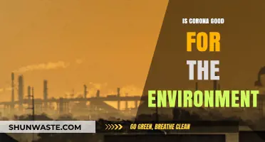 Corona's Environmental Impact: A Silver Lining Amidst the Pandemic?