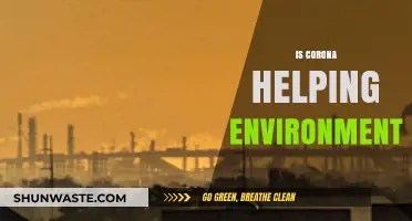 Corona's Silver Lining: How the Pandemic is Impacting Our Environment