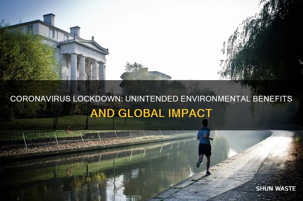 is corona virus helping the environment