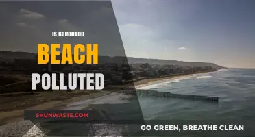 Coronado Beach: Pristine or Polluted Paradise?