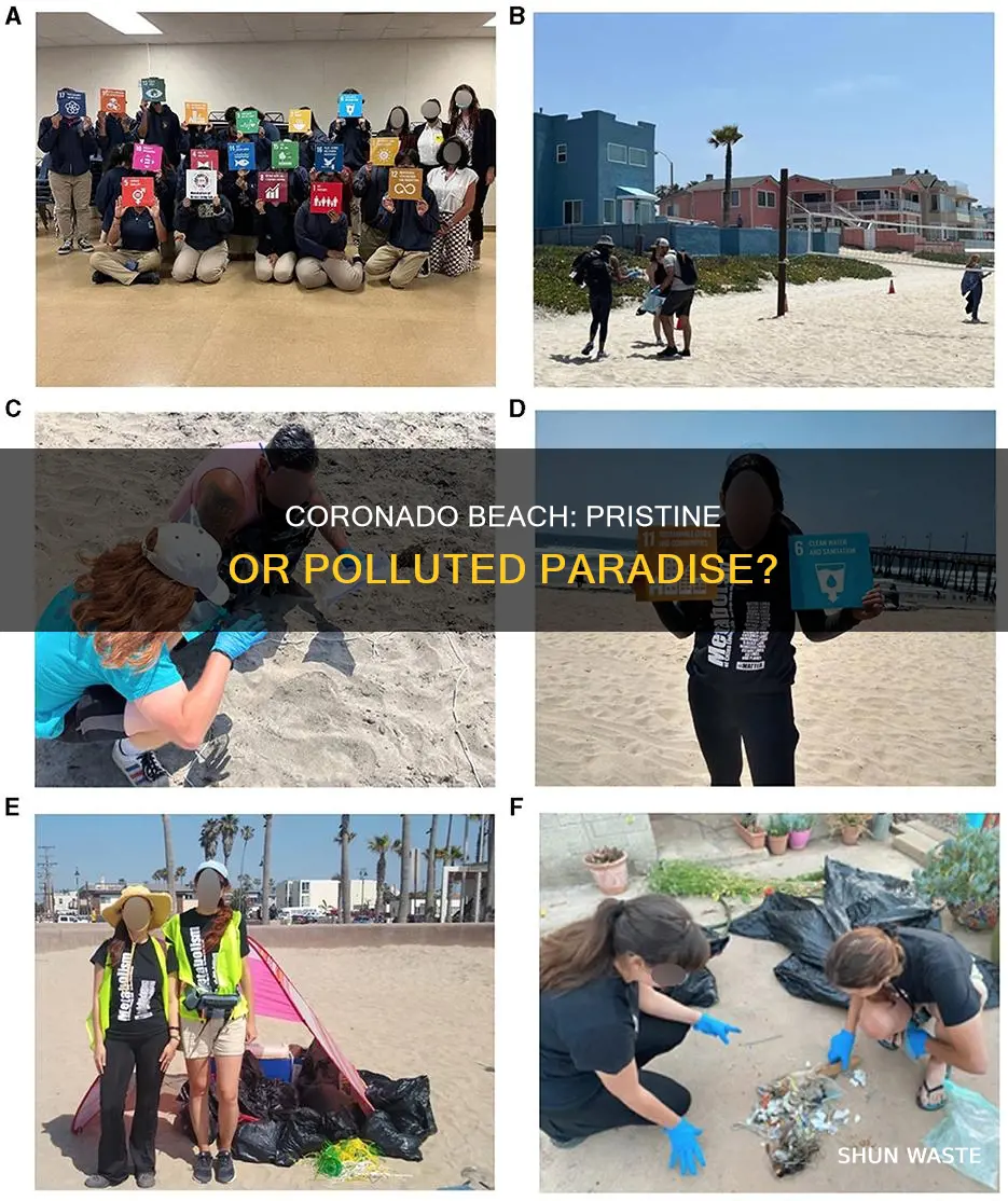 is coronado beach polluted