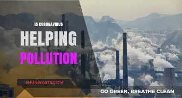 How Coronavirus is Helping Pollution