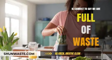 Are We Truly Full of Waste? Exploring Our Body’s Detox Reality
