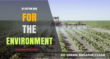 Is Cotton Eco-Friendly? Uncovering Its Environmental Impact and Sustainability