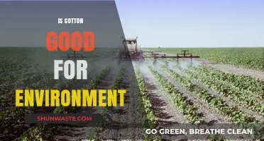Cotton's Environmental Impact: Sustainable Choice or Ecological Concern?